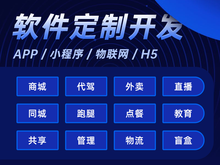 湛江网页设计与软件开发 双轮驱动本地企业数字化转型