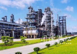 双星辉映 湛江东兴炼油厂的荣誉篇章与软件开发的创新活力