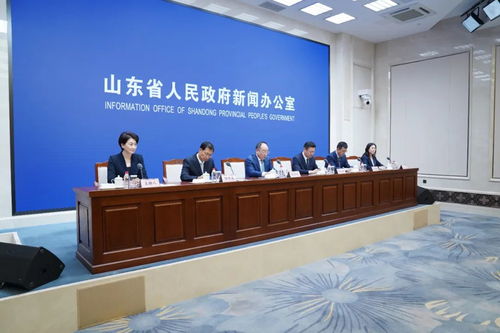 以“一业一策”精准施策，赋能湛江软件开发拓宽国际市场新格局——答记者问